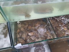 -雅逸居海鲜小厨