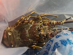 -奢谷·海鲜自助(南海万科店)