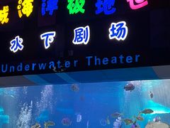 -泉城欧乐堡海洋极地世界