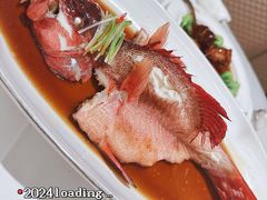 -人间采蜜(海信广场店)