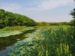 -同里国家湿地公园