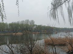 -亲兄弟真人CS团建拓展基地