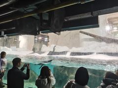 -大连圣亚海洋世界