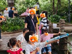 -成都市活水公园