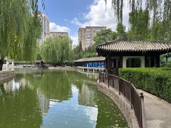 -团结湖公园