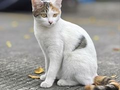 -桂林269新茂综合批发市场(环城北一路店)