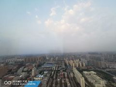 -中国坊中餐厅(石家庄希尔顿酒店)