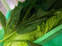 -濠轩阁特色生蚝火锅(水湾路店)