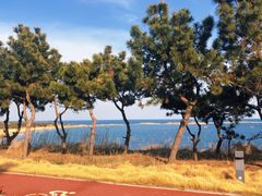 -青岛银沙滩
