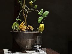 -曲廊院(东四十一条店)