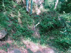 -藏龙百瀑风景区