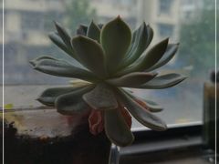 -王红军龙虾(新民路店)