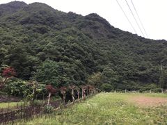 -宁波五龙潭景区