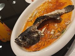 -高老庄新家宴(北斗星广场店)