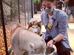 -TrueLove @ Neverland (Husky Cafe)