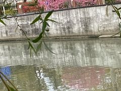 -上海市曹杨第二中学