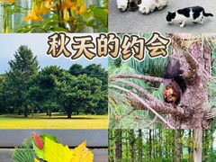 -国家植物园南园