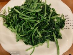 -9号小厨师(端平桥店)