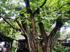 -兴福老面馆(寺路街店)