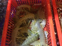 -79号渔船海鲜饭店(华强北店)