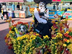 -大连海昌发现王国主题公园