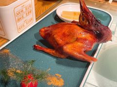 红烧乳鸽-大鸽饭(北京路店)