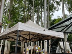 -桉树林A coffee 森林餐厅(三圣乡店)