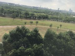 -九龙湖公园