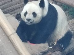 -大连森林动物园