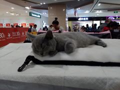 -吾悦广场(天津和平店)