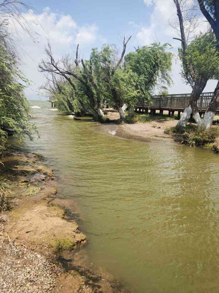 捞鱼河湿地公园-"99位置:云南省昆明市呈贡区环湖东路 6.