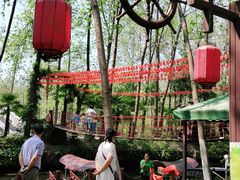 -合肥滨湖国家森林公园