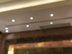 -上海南新雅大酒店