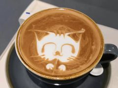 -飞行喵MR PILOT|猫舍·猫咖(静安大融城店)