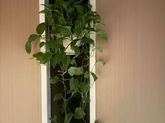 -世外桃源水疗会(皇庭彩园店)