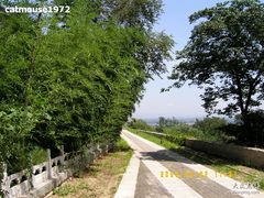 -阳台山自然风景区