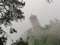 -缙云山景区
