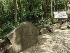 -上海佘山国家森林公园天马山园