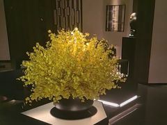 -泰之源足浴会所(玉环店)