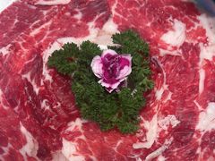 -手选潮汕鲜活牛肉火锅(二七广场店)