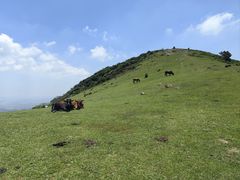 -大姆山草场