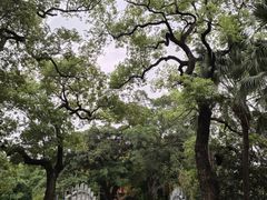 -荔湾湖公园