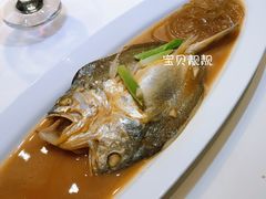 -诺莱仕游艇会