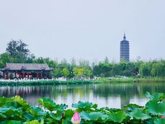 -西海子公园