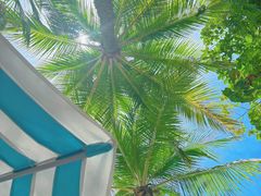 -新加坡水上探险乐园