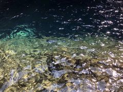 -宁波五龙潭景区