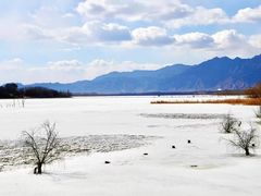 -野鸭湖国家湿地公园