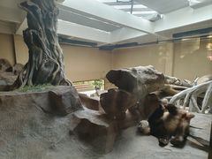 -宁波野生动物园