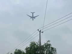 -龙大花卉苗木市场