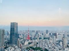 -六本木新城展望台(东京城市景观)